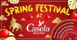 Sino-Mauritian Chinese Community Mauritius Chinese New Year 2021