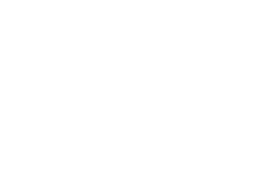 AlpInvest (1)