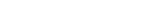 Mauritius Network Services (1)