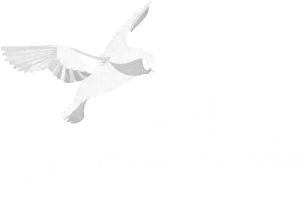 abakoz IT Services LTD (2)